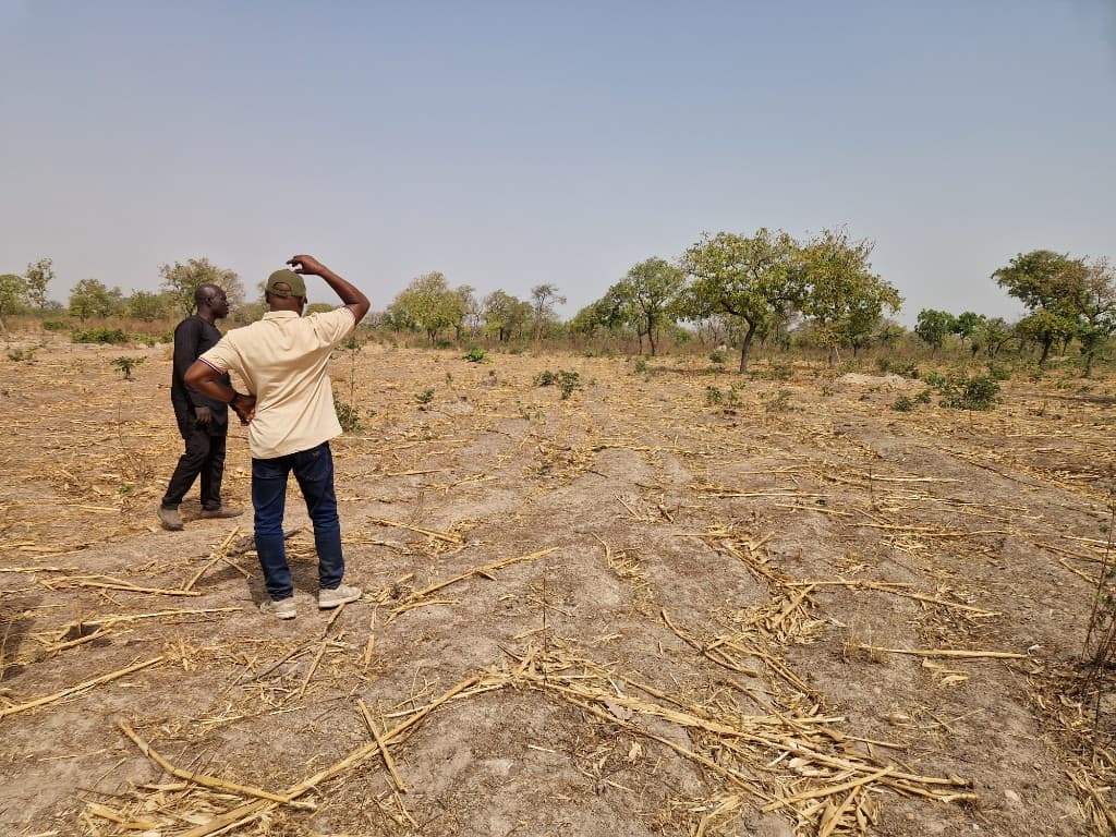 Community agents in the field